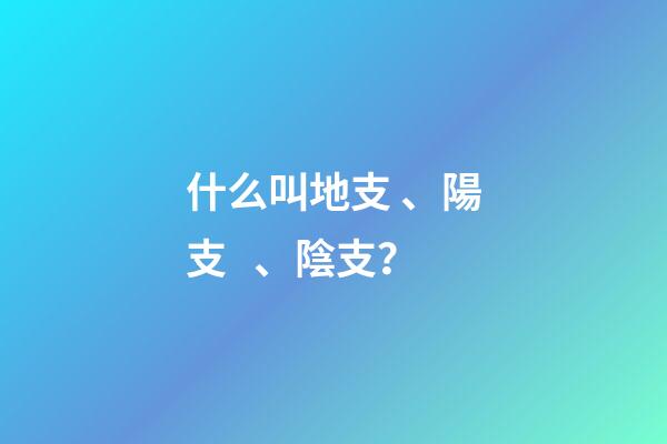 什么叫地支、陽支、陰支？
